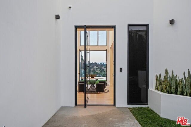 Modern Entry Door